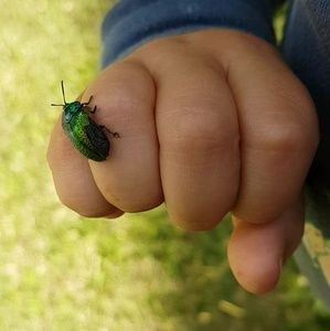 Meet your Posher, Caro